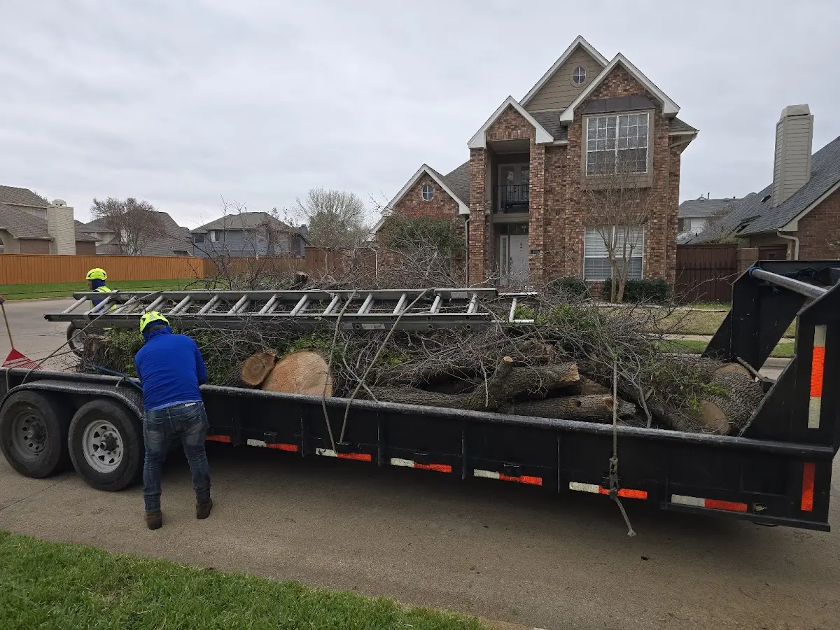Expert Tree Fertilization with proper safety equipment in Keiser